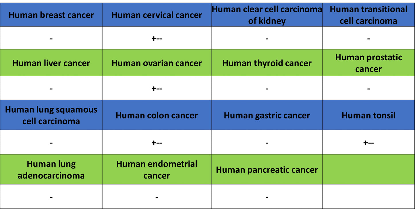 CD96 Recombinant Rabbit mAb (S-5322)