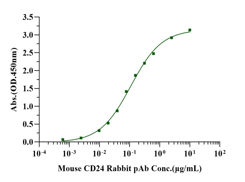 CD24 Fc Chimera Protein, Mouse