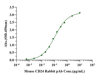 CD24 Fc Chimera Protein, Mouse