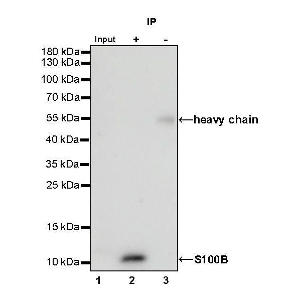 Product image media