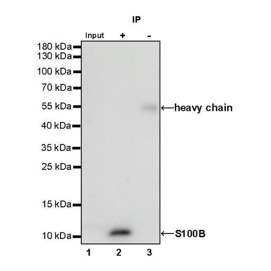 Product image media