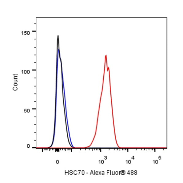 HSC70 Recombinant Rabbit mAb (S-996-65)