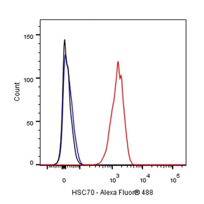 HSC70 Recombinant Rabbit mAb (S-996-65)