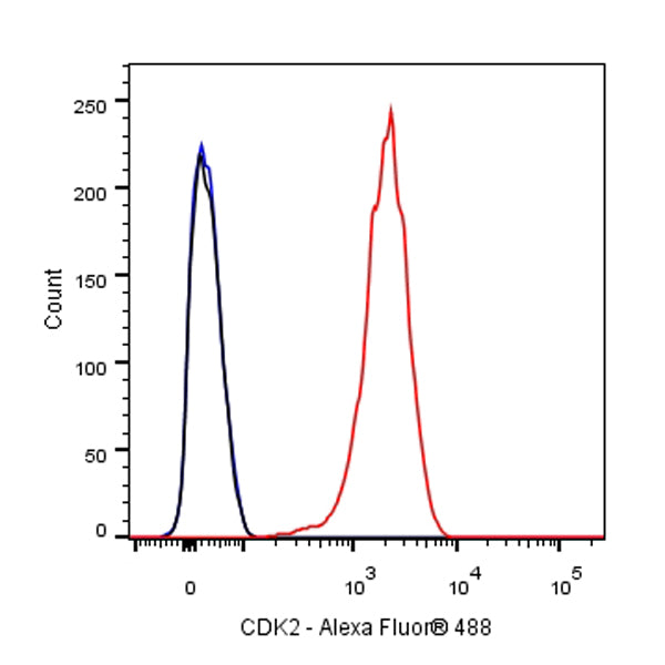CDK2 Recombinant Rabbit mAb (SDT-064-40)
