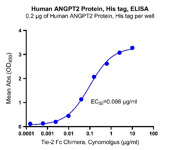 Human ANGPT2 Protein, His tag