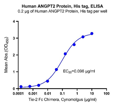 Human ANGPT2 Protein, His tag