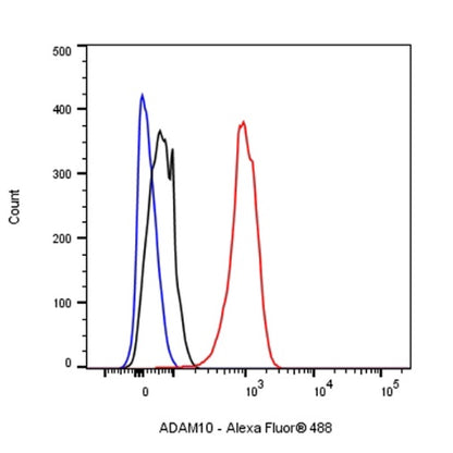 ADAM10 Rabbit polyclonal antibody