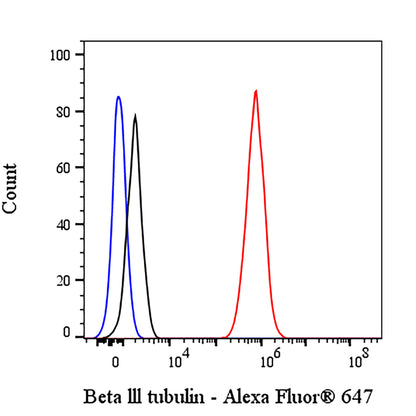 Beta III tubulin Recombinant Rabbit mAb (Alexa Fluor® 647 Conjugate) (SDT-251-28)