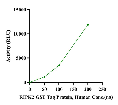 RIPK2 GST Tag Protein, Human