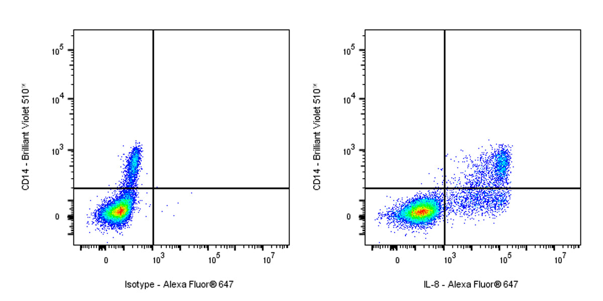 Mouse Anti-Human IL-8 Antibody (S-2875)