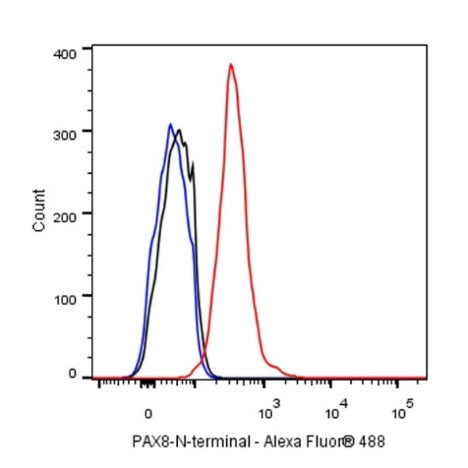 PAX8 Recombinant Rabbit mAb (SDT-R509)