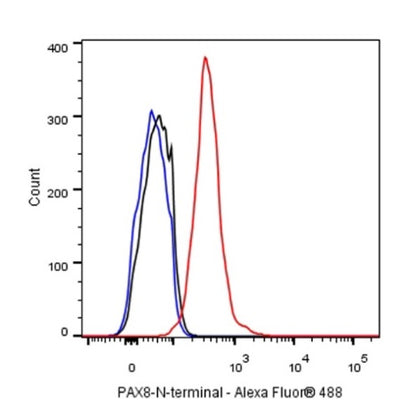 PAX8 Recombinant Rabbit mAb (SDT-R509)