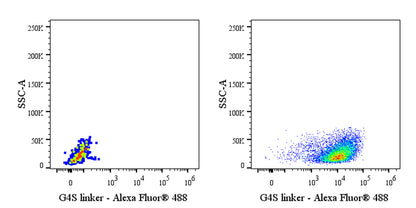 G4S linker Recombinant Rabbit mAb (Alexa Fluor® 488 Conjugate) (S-5030)