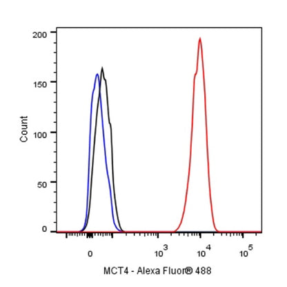 S-RMab® MCT4 Recombinant Rabbit mAb (S-1437-7)