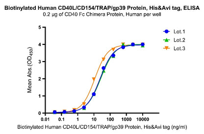 Biotinylated Human CD40L/CD154/TRAP/gp39 Protein, His&Avi tag