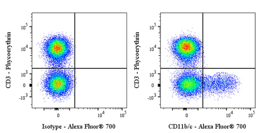 Alexa Fluor® 700 Mouse Anti-Rat CD11b/c Antibody (OX-42)