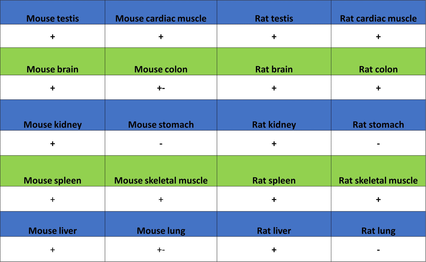 Anti-5-methylcytosine (5-mC) Recombinant Mouse mAb (S-3720)