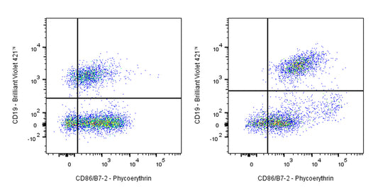 PE Rat Anti-Mouse CD86/B7-2 Antibody (GL-1)