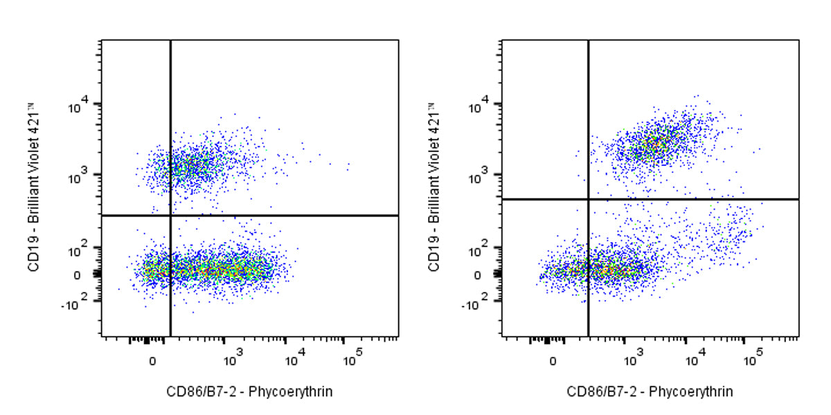 PE Rat Anti-Mouse CD86/B7-2 Antibody (GL-1)