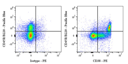 PE Rat Anti-Mouse CD38 Antibody (NIMR5)