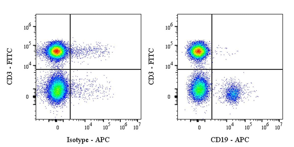 APC Mouse Anti-Human CD19 Antibody (4G7)