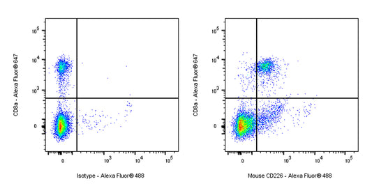 Rat Anti-Mouse CD226 Antibody (S-R625)