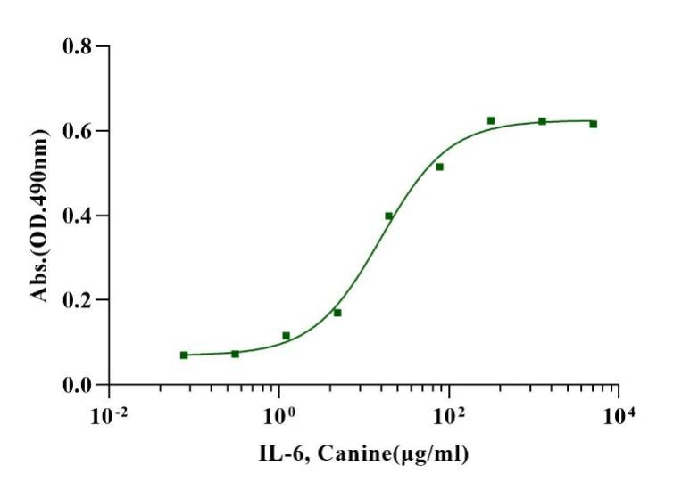 IL-6 Protein, Canine