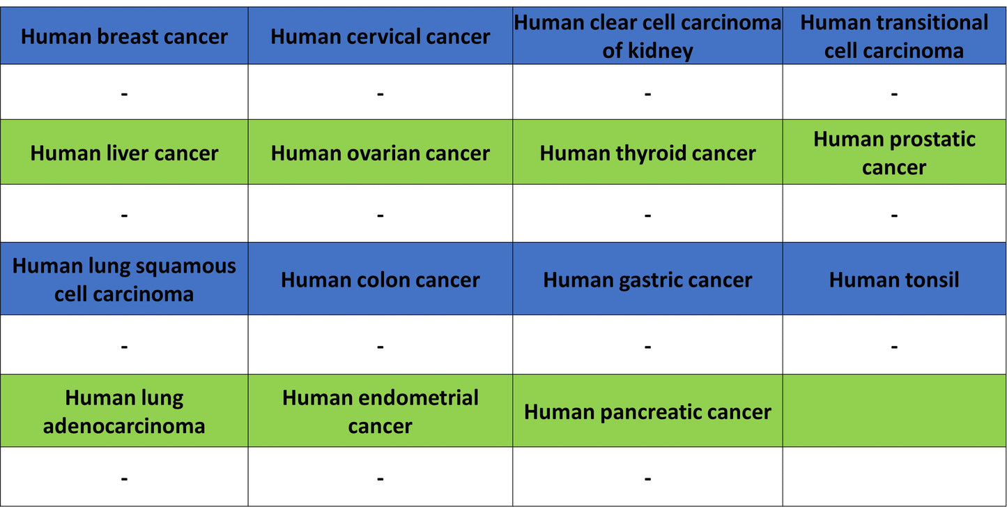 Thrombospondin 1 Recombinant Rabbit mAb (S-4153-22)