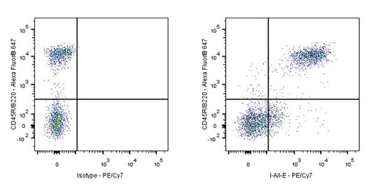 PE-Cy7 Rat Anti-Mouse I-A/I-E Antibody (M5/114.15.2)