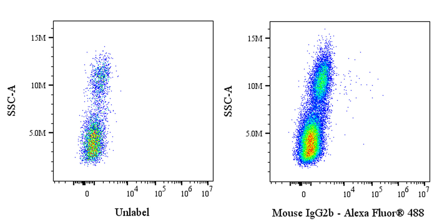 Mouse mAb IgG2b Isotype Control