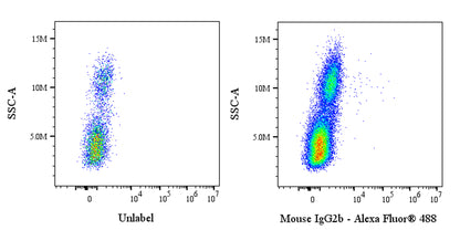 Mouse mAb IgG2b Isotype Control