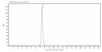 CD28 Fc Chimera Protein, Human/Cynomolgus/Rhesus macaque