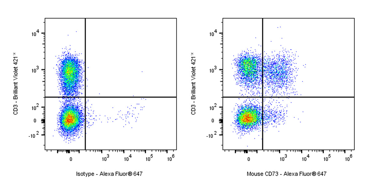 Alexa Fluor® 647 Rat Anti-Mouse CD73 Antibody (S-R636)