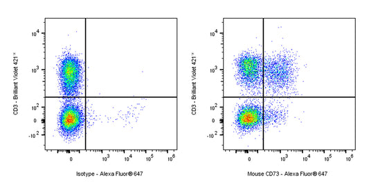 Alexa Fluor® 647 Rat Anti-Mouse CD73 Antibody (S-R636)