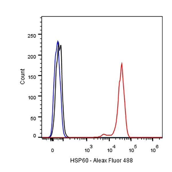 HSP60 Recombinant Rabbit mAb (SDT-076-6)