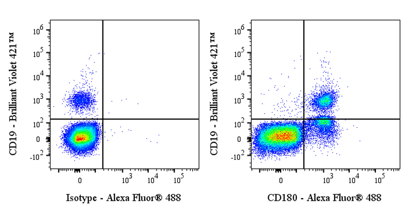 Alexa Fluor® 488 Mouse Anti-Human CD180 Antibody (G28-8)
