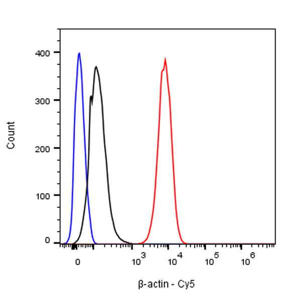 β-actin Recombinant Rabbit mAb (Cy5 Conjugate) (SDT-R156)