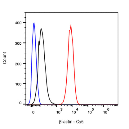 β-actin Recombinant Rabbit mAb (Cy5 Conjugate) (SDT-R156)