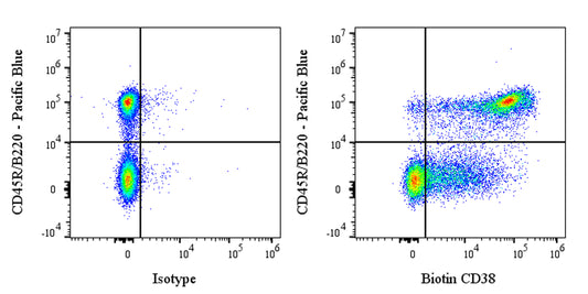 Biotin Rat Anti-Mouse CD38 Antibody (NIMR5)