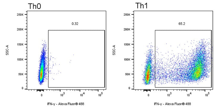 Th1 Polarization Kit, Human