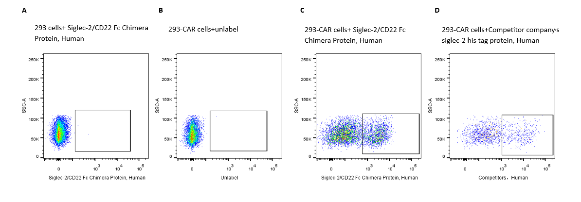 Siglec-2/CD22 Fc Chimera Protein, Human