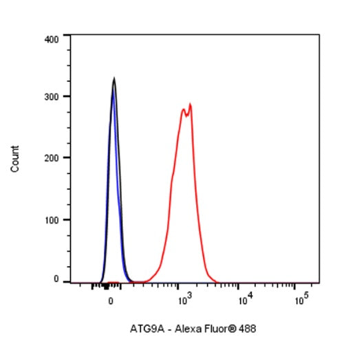 ATG9A Recombinant Rabbit mAb (S-1418-5)