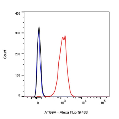 ATG9A Recombinant Rabbit mAb (S-1418-5)