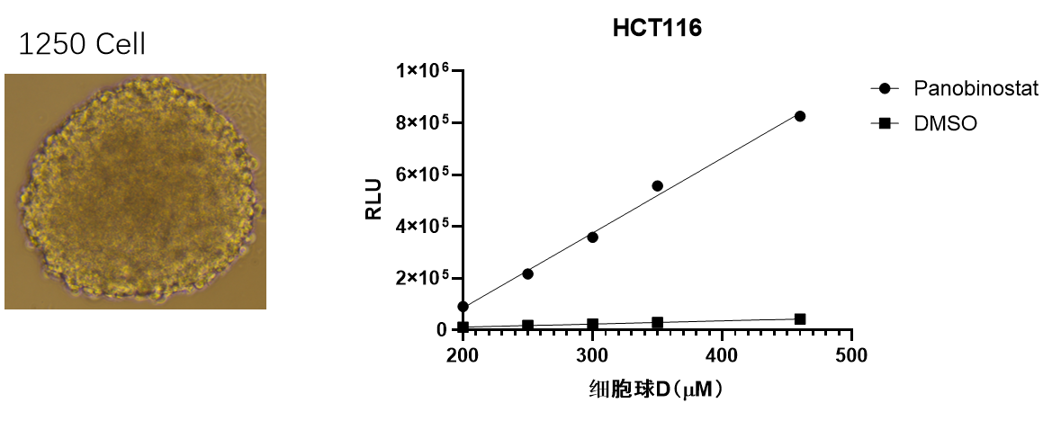 UA-Glo® Caspase 3/7 3D Assay