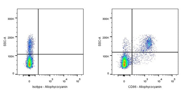APC Rabbit Anti-Human CD86 Antibody (S-990-1)