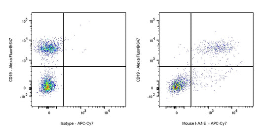 APC-Cy7 Rat Anti-Mouse I-A/I-E Antibody (M5/114.15.2)