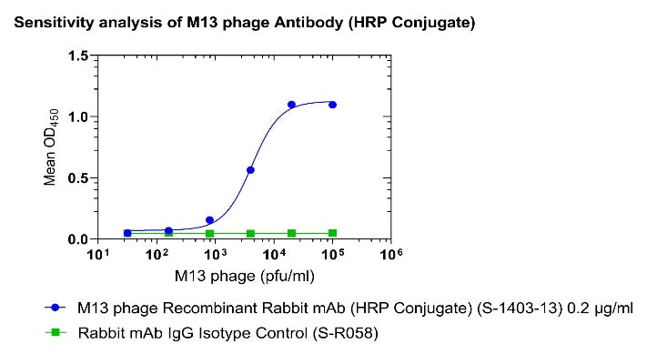 M13 phage Recombinant Rabbit mAb (HRP Conjugate) (S-1403-13)
