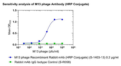 M13 phage Recombinant Rabbit mAb (HRP Conjugate) (S-1403-13)