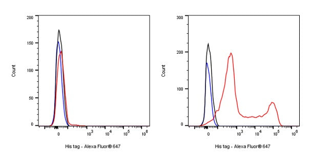 His tag (C-terminal) Recombinant Rabbit mAb (Alexa Fluor® 647 Conjugate) (S-1398-10)