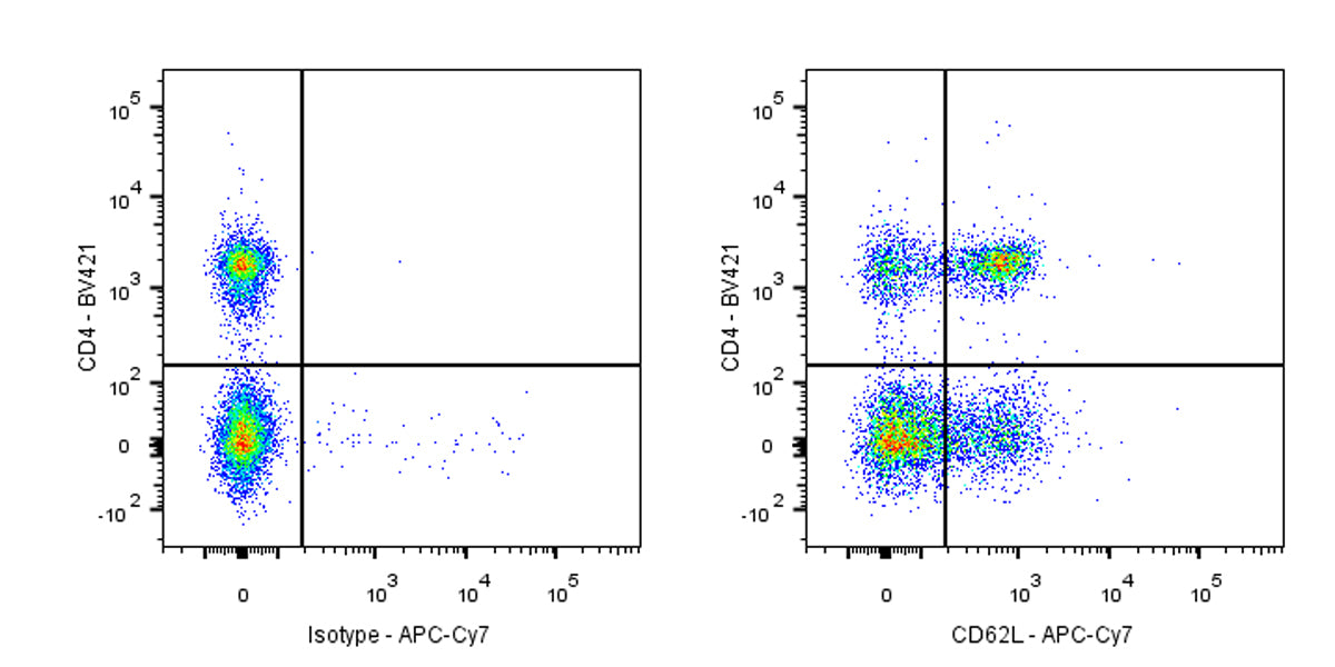 APC-Cy7 Rat Anti-Mouse CD62L Antibody (MEL-14)